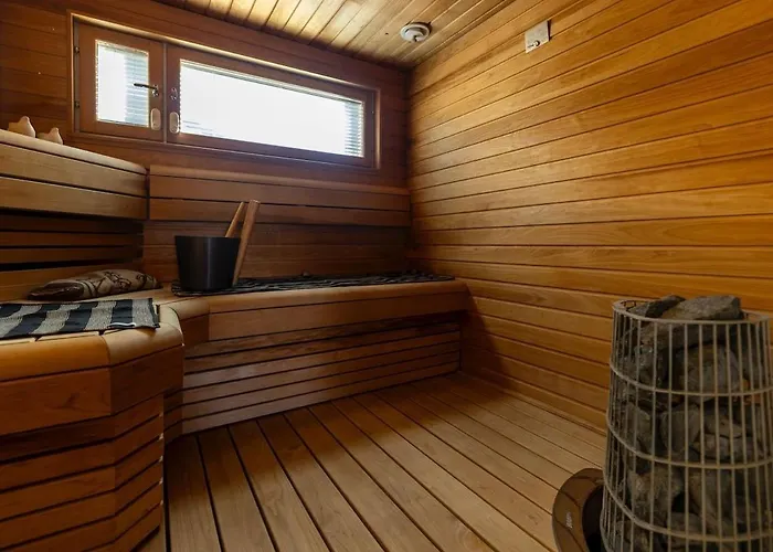 Unique Lapin Kulta 公寓