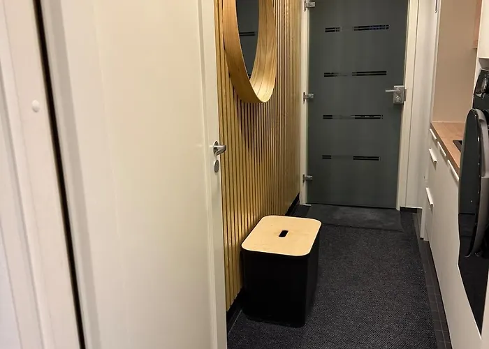 公寓 Unique Lapin Kulta 罗瓦涅米