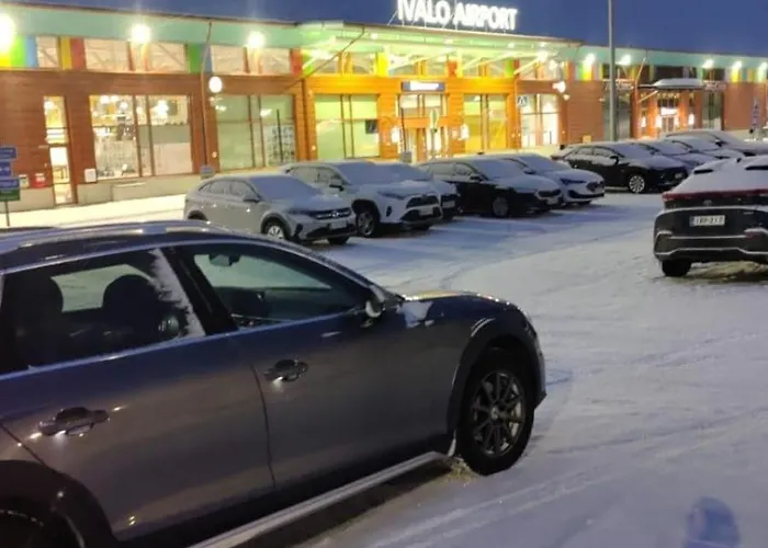 公寓 Unique Lapin Kulta