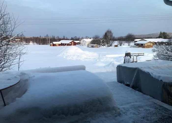 Unique Lapin Kulta *