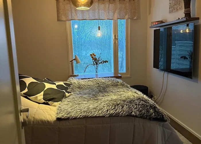 公寓 Unique Lapin Kulta